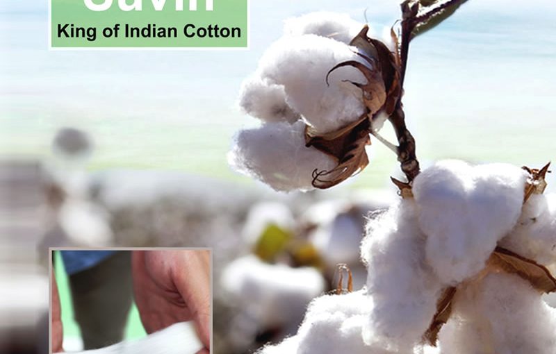 Our exotic India-born Suvin luxury cotton range!